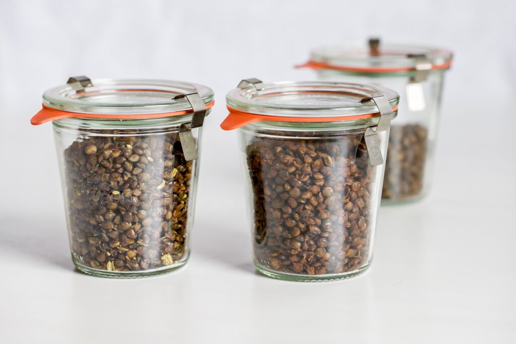 crispy lentils